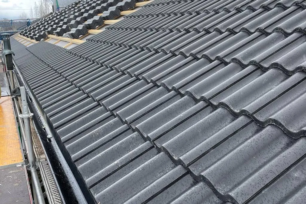 Svarta betongpannor längs takfoten med hängränna